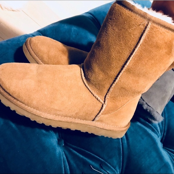 UGG Shoes - UGGs